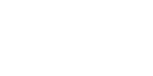 Home 9 fox